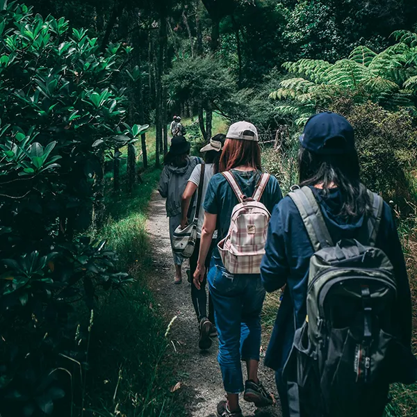 line of people walking through a forest